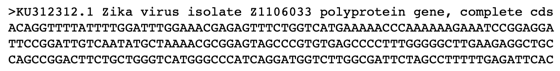 Zika virus FASTA data