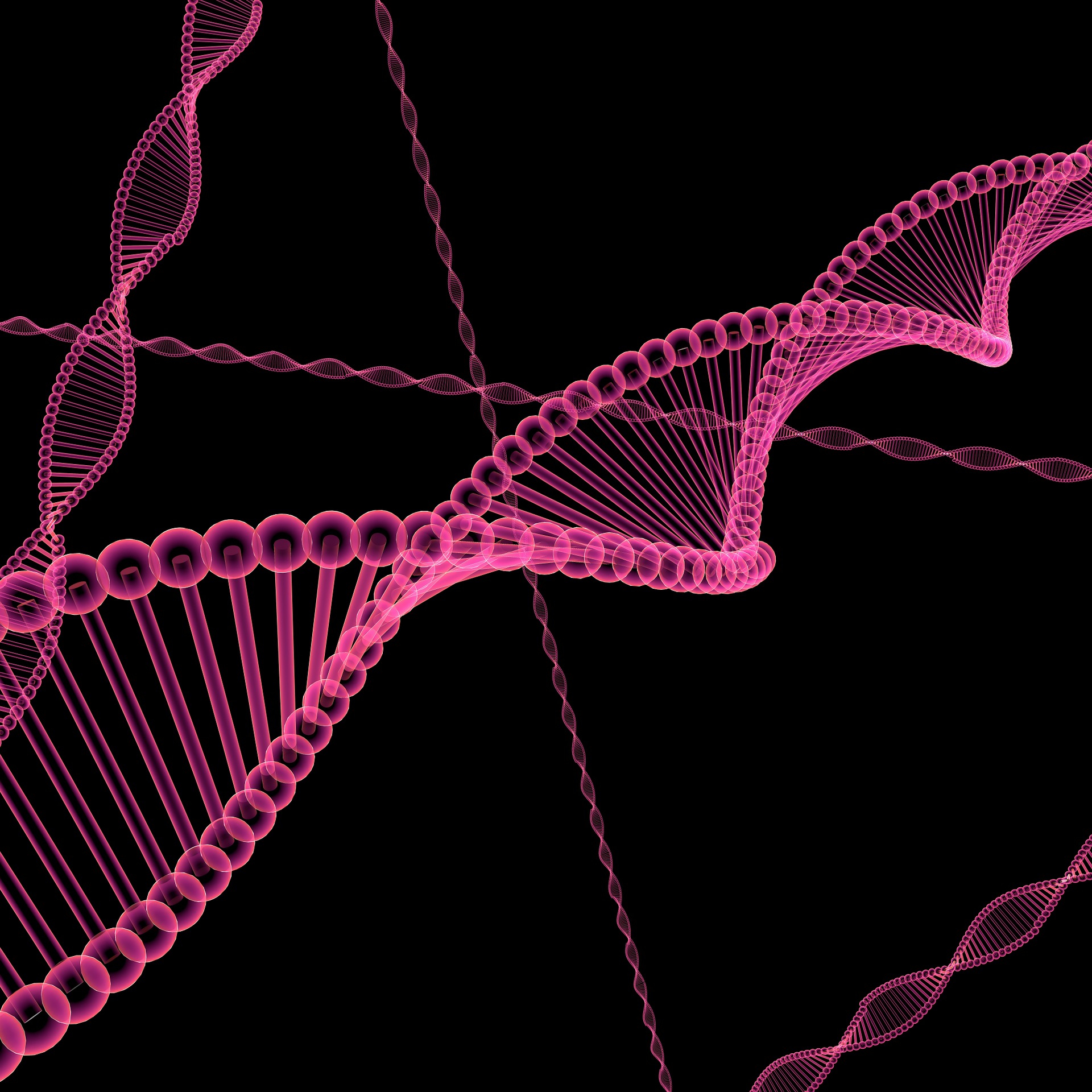 DNA image; Credit: Pixabay.com